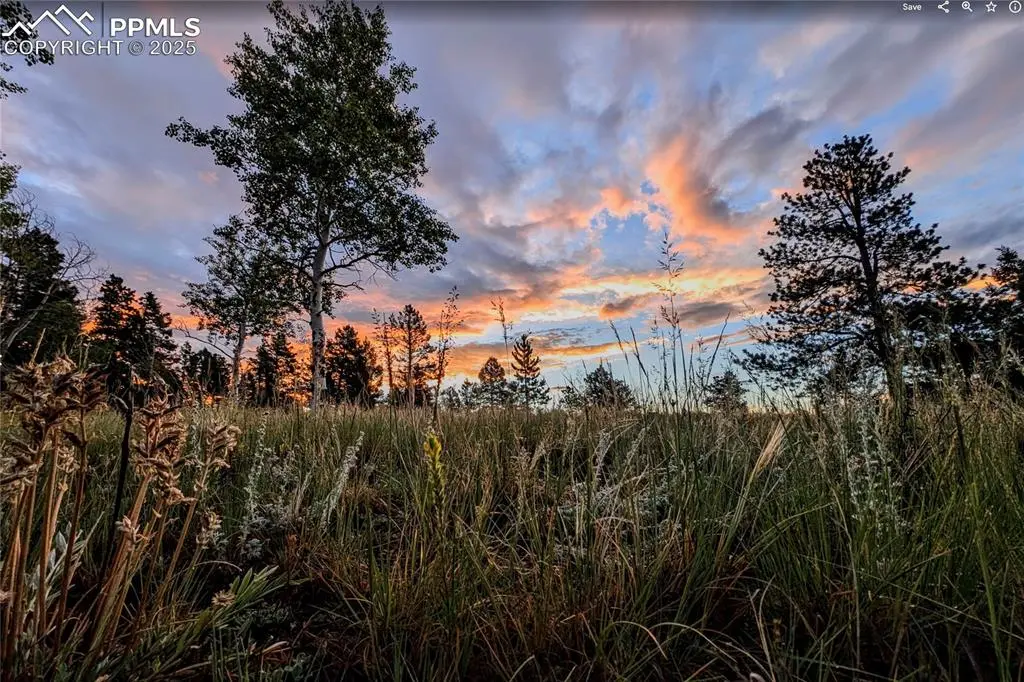 Florissant, CO 80816,4687 W Highway 24