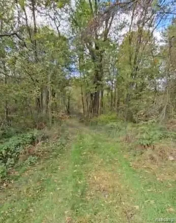 Webberville, MI 48892,37 Risch RD