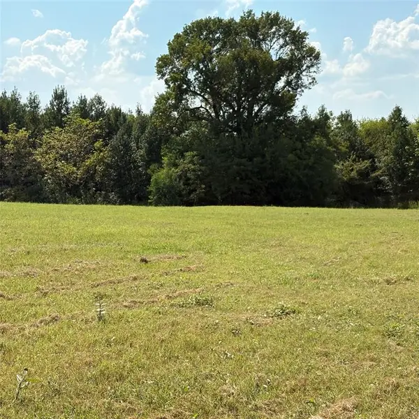 Quitman, TX 75783,TBD 35.394ac CR1226 County Road 1226