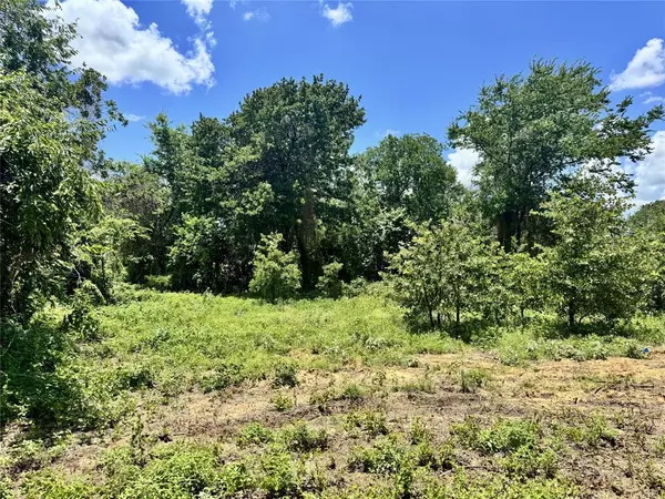 Cleburne, TX 76031,4017 County Road 310