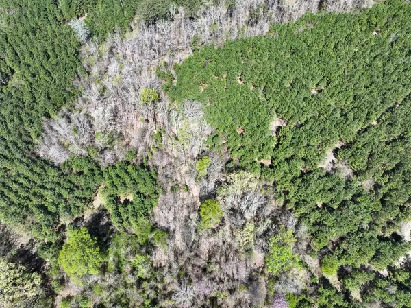 Rodessa, LA 71069,9 United Gas Road 2