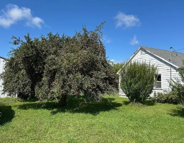 Ithaca, MI 48847,428 S Barry RD