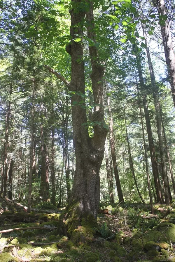 Lasqueti Island, BC V0R 2J0,1 Lennie Rd