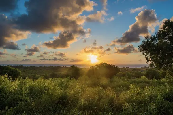 Anahola, HI 96746,1 HUI RD #1