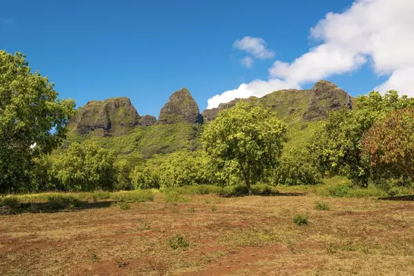 Anahola, HI 96746,1 HUI RD #1