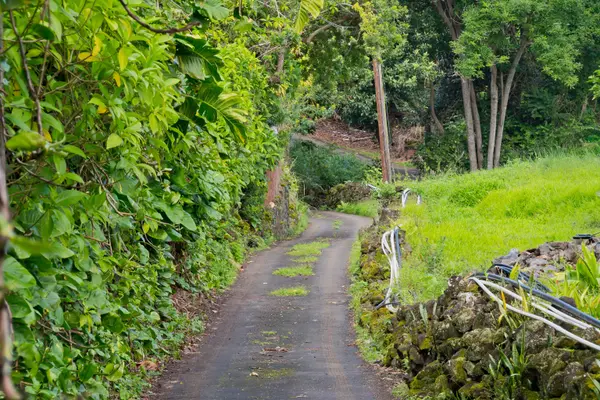 Holualoa, HI 96725,76-5104 HOOHOLO PLACE