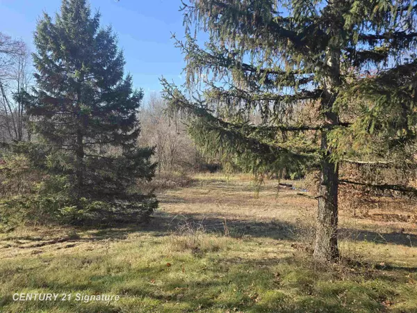 Mount Morris, MI 48458,9075 Neff RD