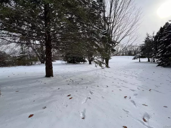 Brooklyn, MI 49230,10801 Siam CT