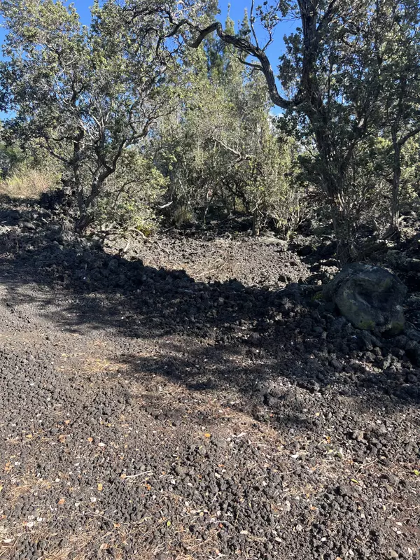 Ocean View, HI 96737,ALOHA BLVD