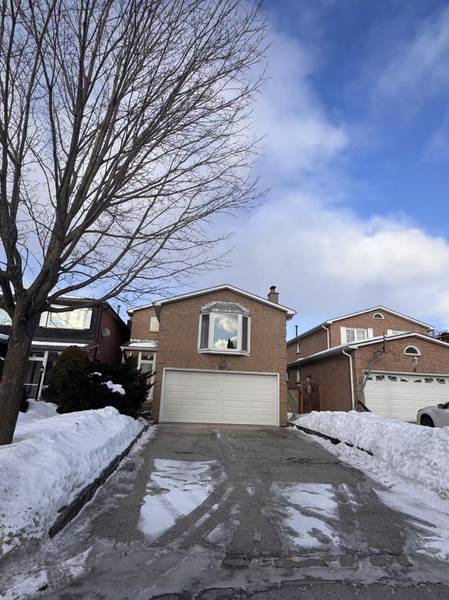 4 Burwell CRES #Main, Markham, ON L3P 6T6