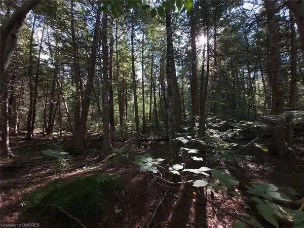 Marmora And Lake, ON K0K 3K0,0 Rockhaven CRES