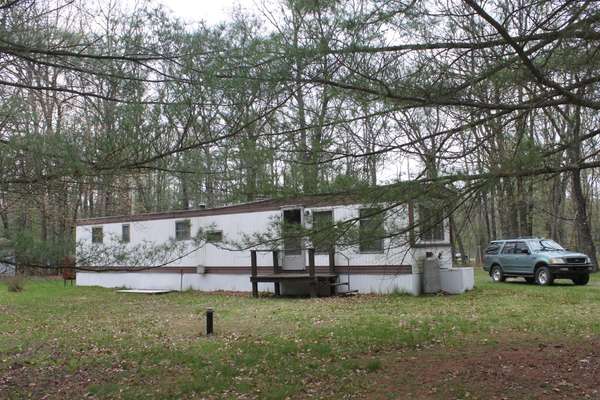 10675 N Shady LN,  Irons,  MI 49644