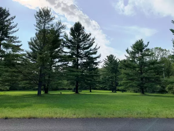 Big Rapids, MI 49307,18755 220th AVE