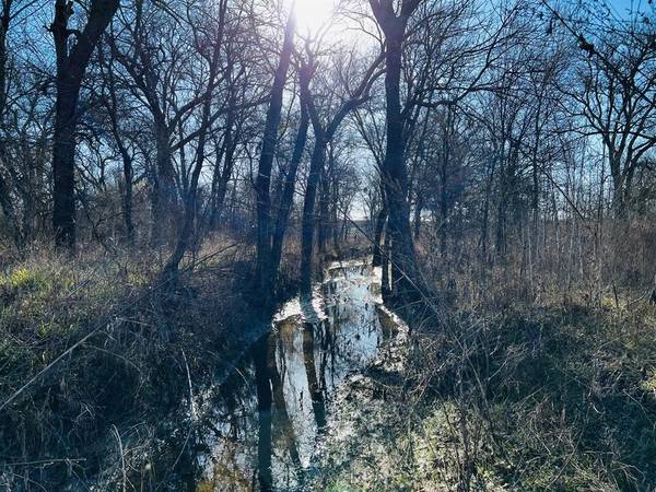 Address Not Disclosed