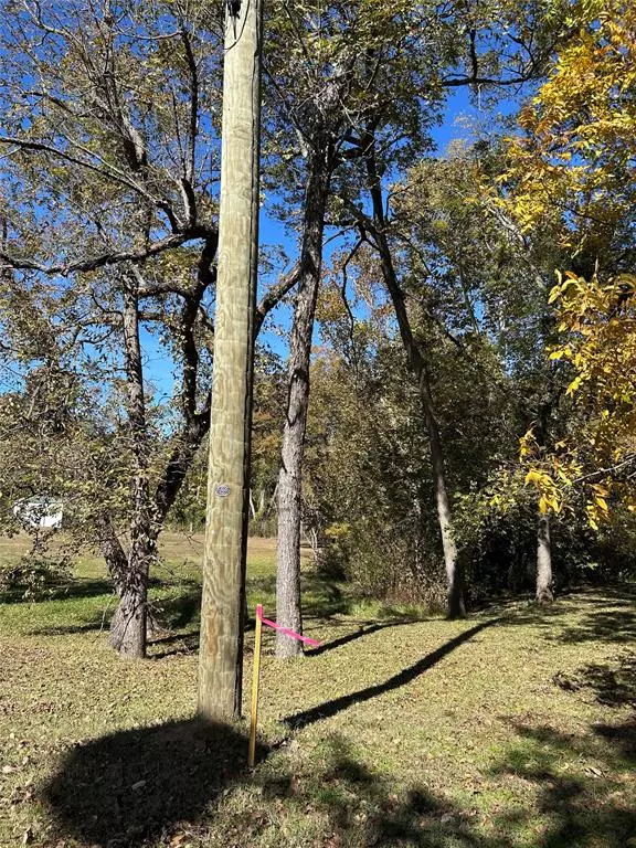 Mount Vernon, TX 75457,TBD Keith Street