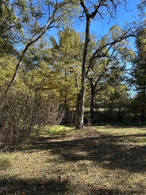 Mount Vernon, TX 75457,TBD Keith Street