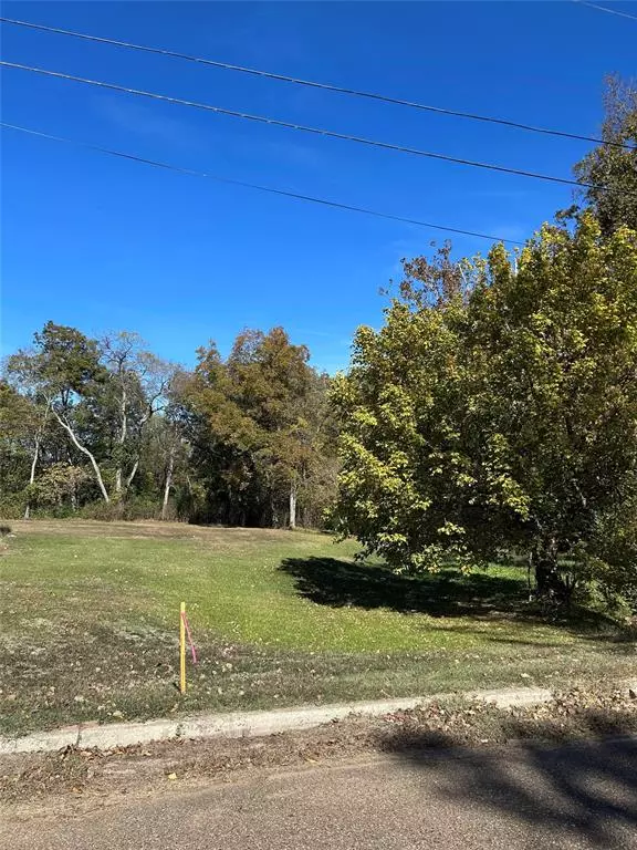 Mount Vernon, TX 75457,TBD Keith Street