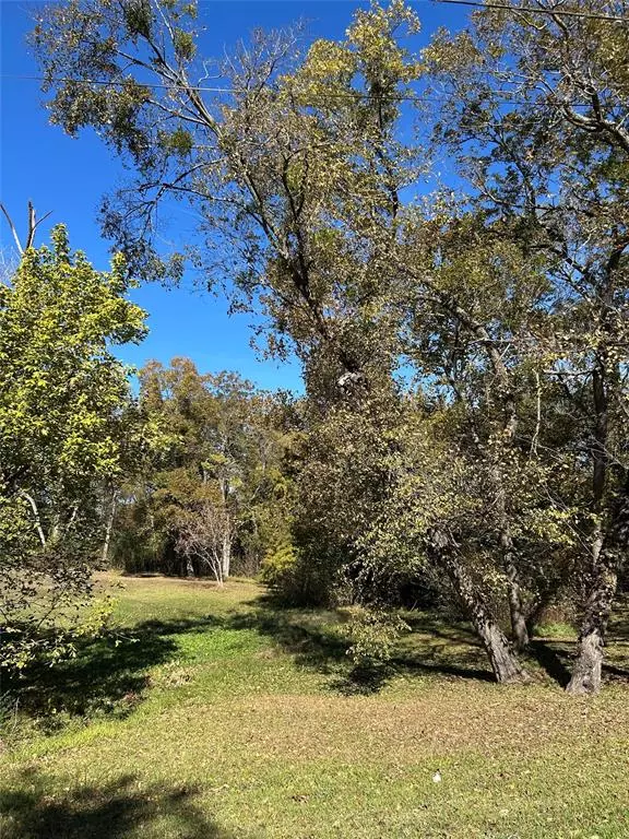 Mount Vernon, TX 75457,TBD Keith Street