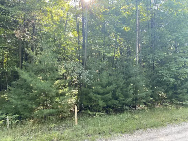 Stanwood, MI 49346,6842 White Pine DR