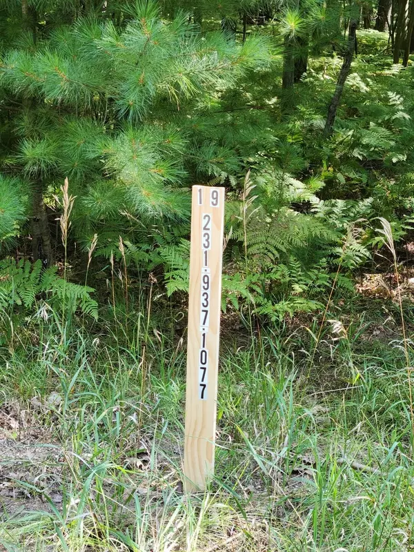 Stanwood, MI 49346,6842 White Pine DR