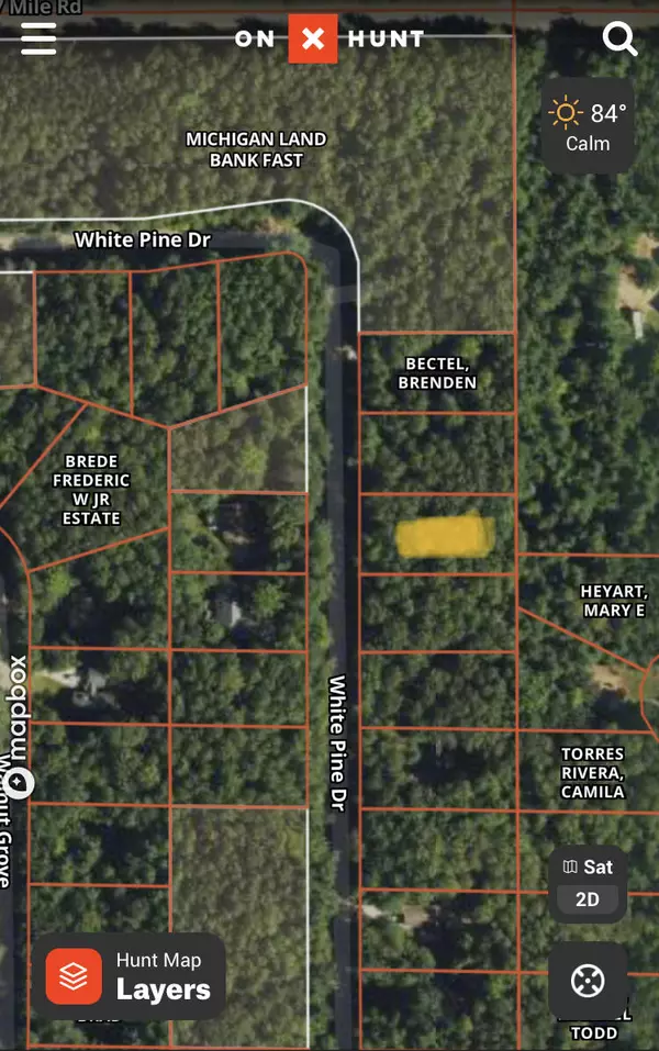Stanwood, MI 49346,6842 White Pine DR