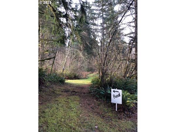 17719 NE MANNING CIR, Amboy, WA 98601