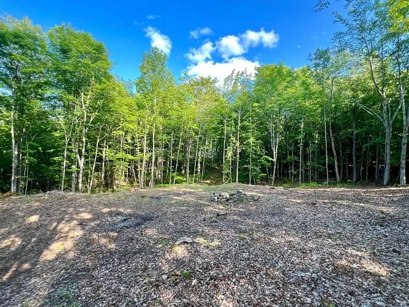 Hastings Highlands, ON K0J 1L0,678 Centreview RD