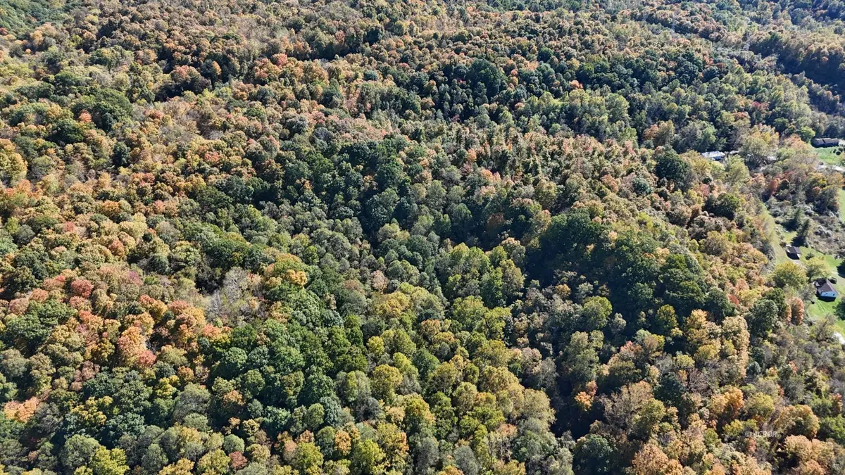 Cheshire, OH 45620,0000 Oxyer