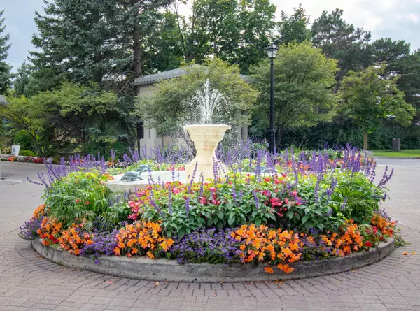 Toronto C13, ON M3B 3P5,215 The Donway West N/A #612