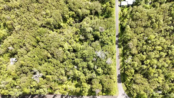 Mountain View, HI 96771,PUNA WAI AVE