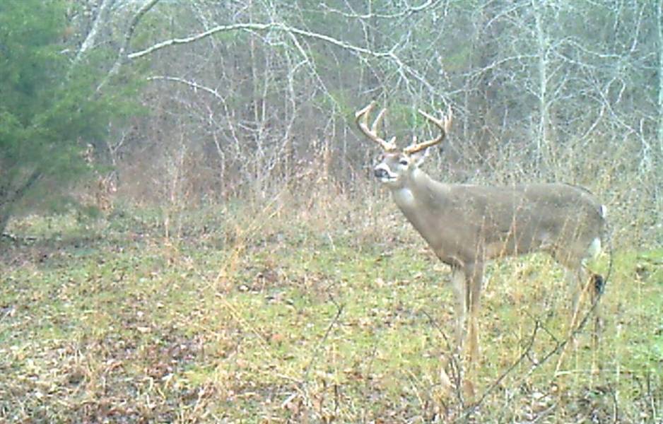 3324-A County Road 3206, Dawson, TX 76639