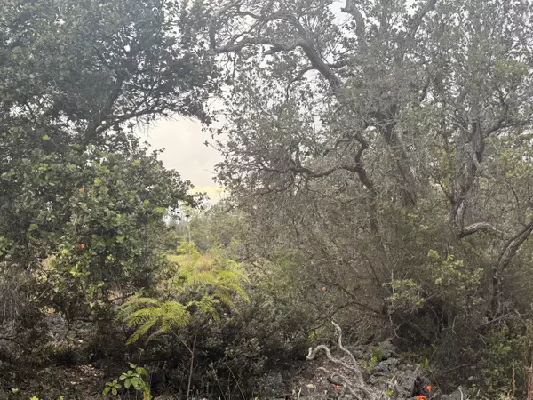 Ocean View, HI 96737,92-9035 LEILANI PKWY