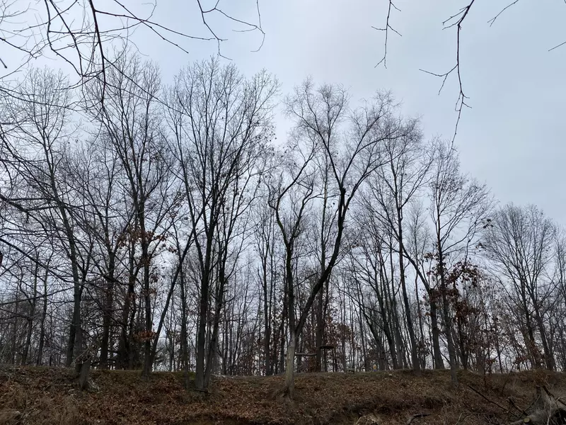 28978 Maystead RD, Sturgis, MI 49091