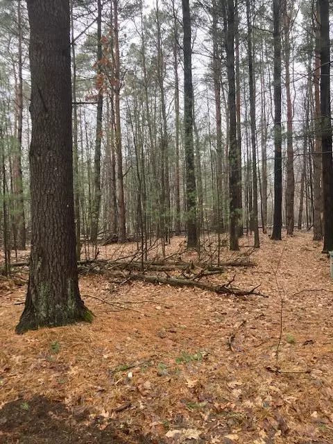 Stanwood, MI 49346,10590 Thornapple DR