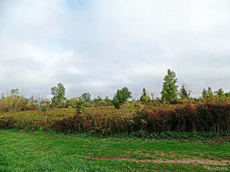 10191 Tabitha LN, Grand Blanc, MI 48439