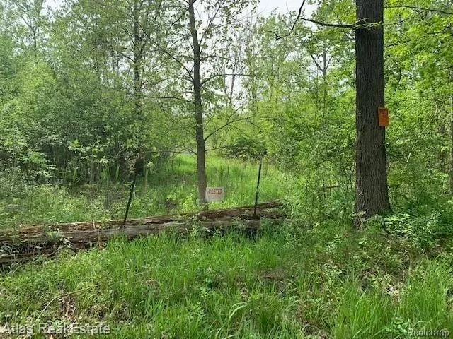 9162 IRISH RD, Grand Blanc, MI 48438