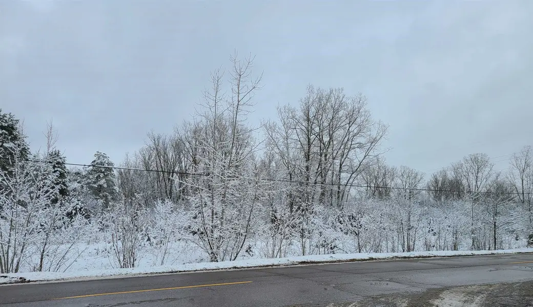 0 Kelly Rd, Flushing, MI 48433