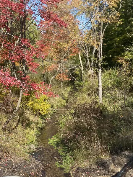 10311 N 22nd ST #4, Plainwell, MI 49080