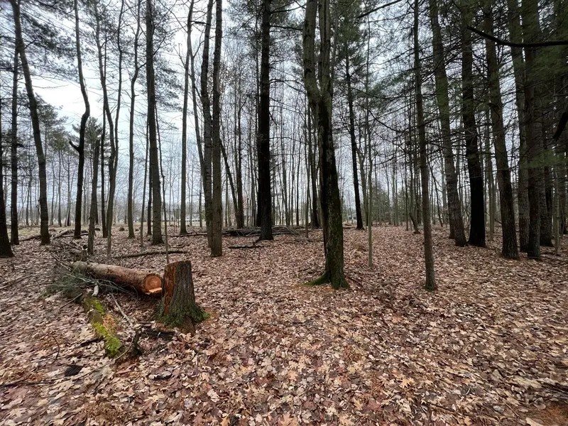 9375 Taylors Turn #164, Canadian Lakes, MI 49346