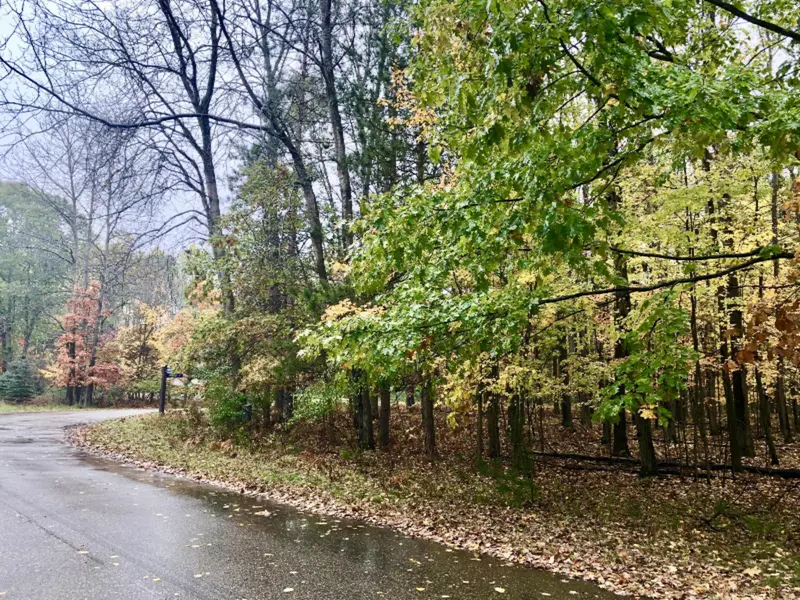 9031 Main ST #712, Canadian Lakes, MI 49346