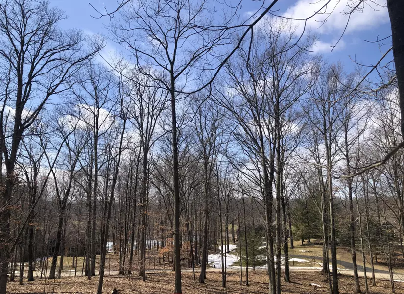 9254 Briarstone DR ##26, Canadian Lakes, MI 49346