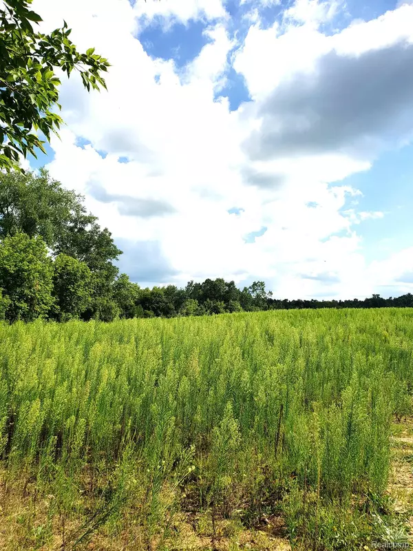 Grand Blanc, MI 48439,1455 W Cook