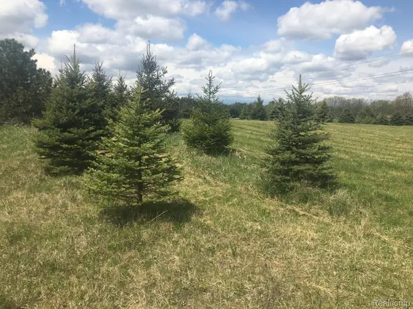 Parcel 5 Dryden RD, Dryden, MI 48428