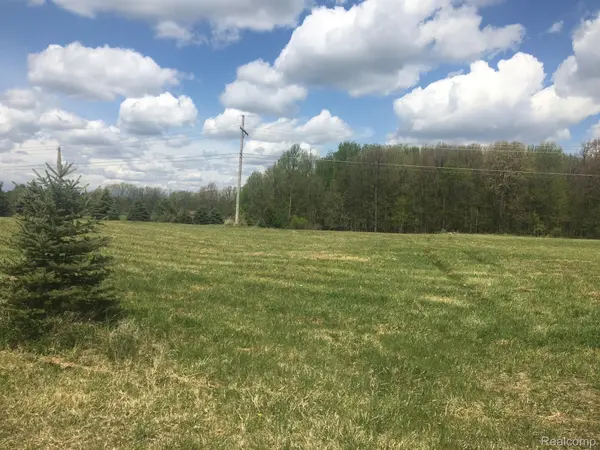 Dryden, MI 48428,Parcel 5 Dryden RD