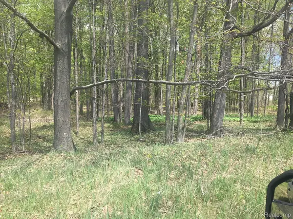 Dryden, MI 48428,Parcel 5 Dryden RD