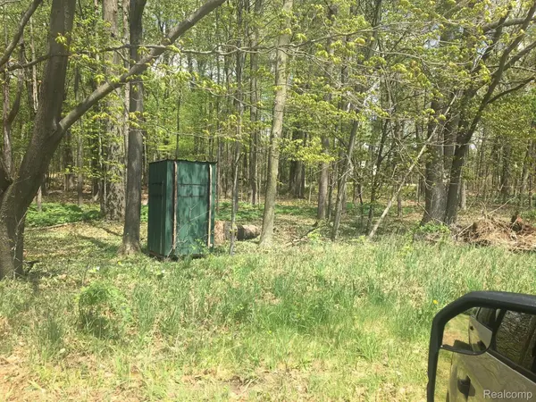 Dryden, MI 48428,Parcel 5 Dryden RD