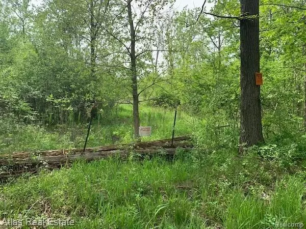 Grand Blanc, MI 48438,9162 IRISH RD