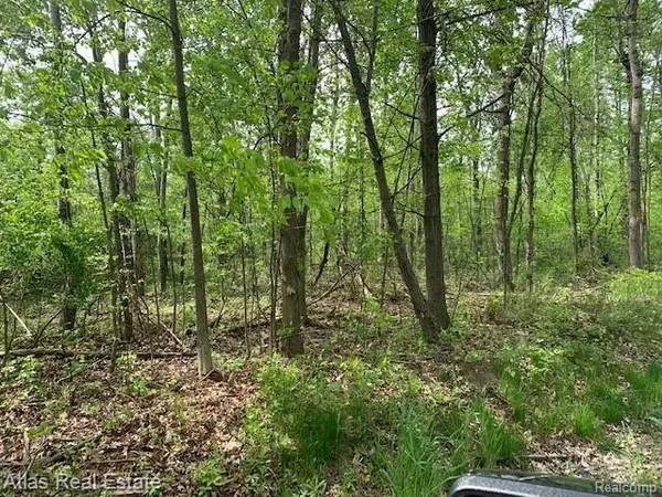 Grand Blanc, MI 48438,9162 IRISH RD