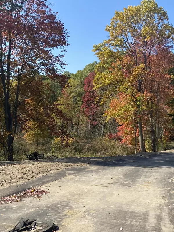 Plainwell, MI 49080,10311 N 22nd ST #4