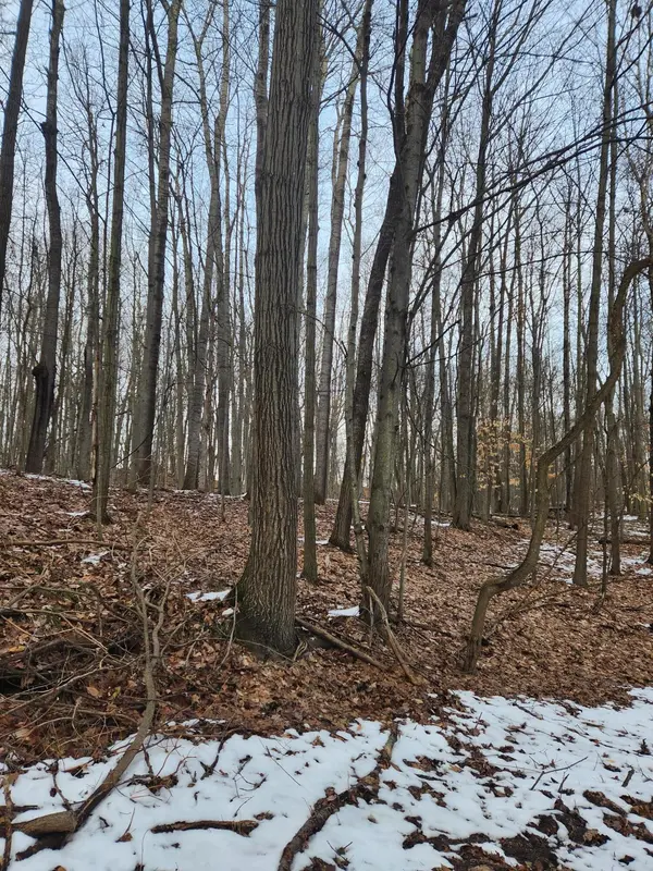 Canadian Lakes, MI 49346,9780 Lost Canyon DR #Lot 674